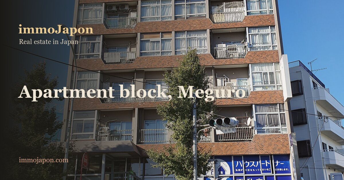 An eight-storey brown brick apartment block in the Meguro ward of Tokyo: narrow balconies repeated on every floor, air conditioning units, pale curtains behind the sliding windows and a green net across one loggia, a blue-signed real estate agency and a golf shop on the ground floor, an external staircase up to the first floor, two ginkgo trees on the pavement, parked cars in the foreground and a cloudless blue sky