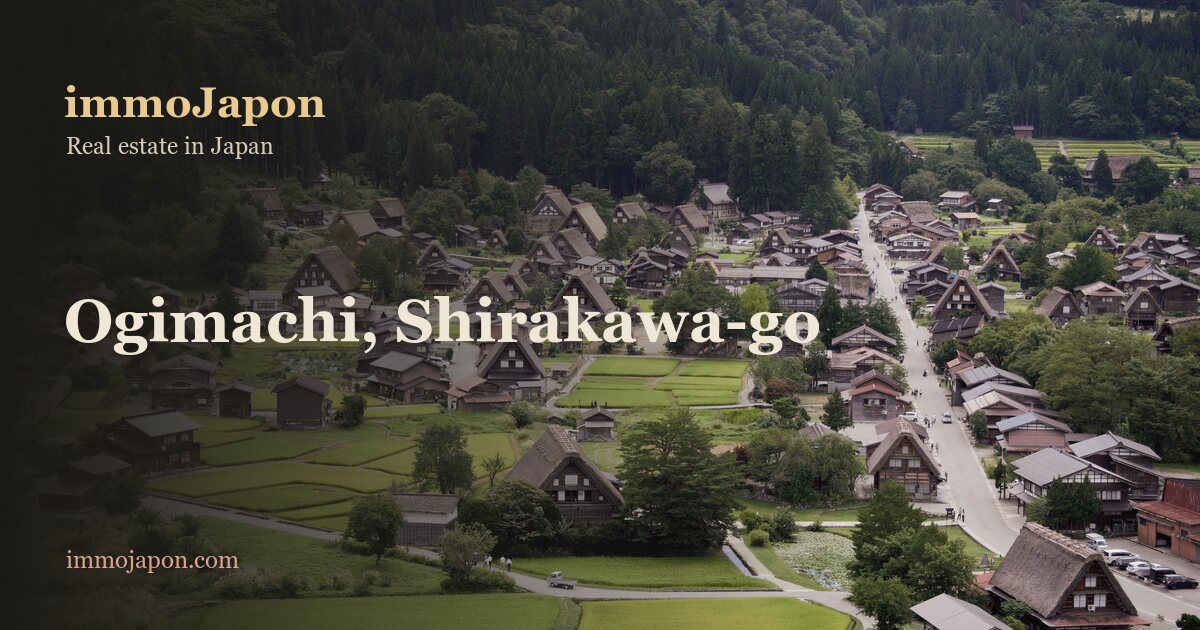 Ogimachi village in Shirakawa-go seen from above in summer: dozens of steep thatched gassho-zukuri farmhouses scattered among green rice paddies, a road running through the valley and forested mountains behind