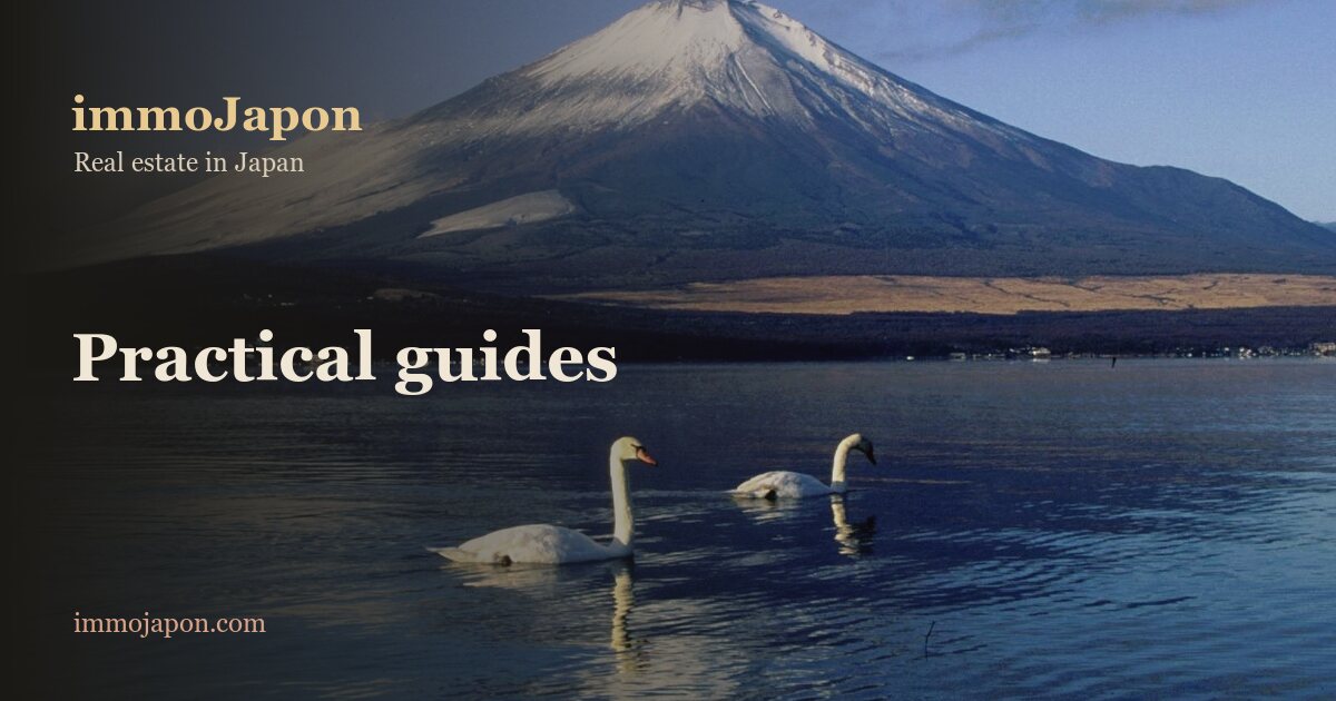 Snow-capped Mount Fuji seen from Lake Yamanaka, swans on the water