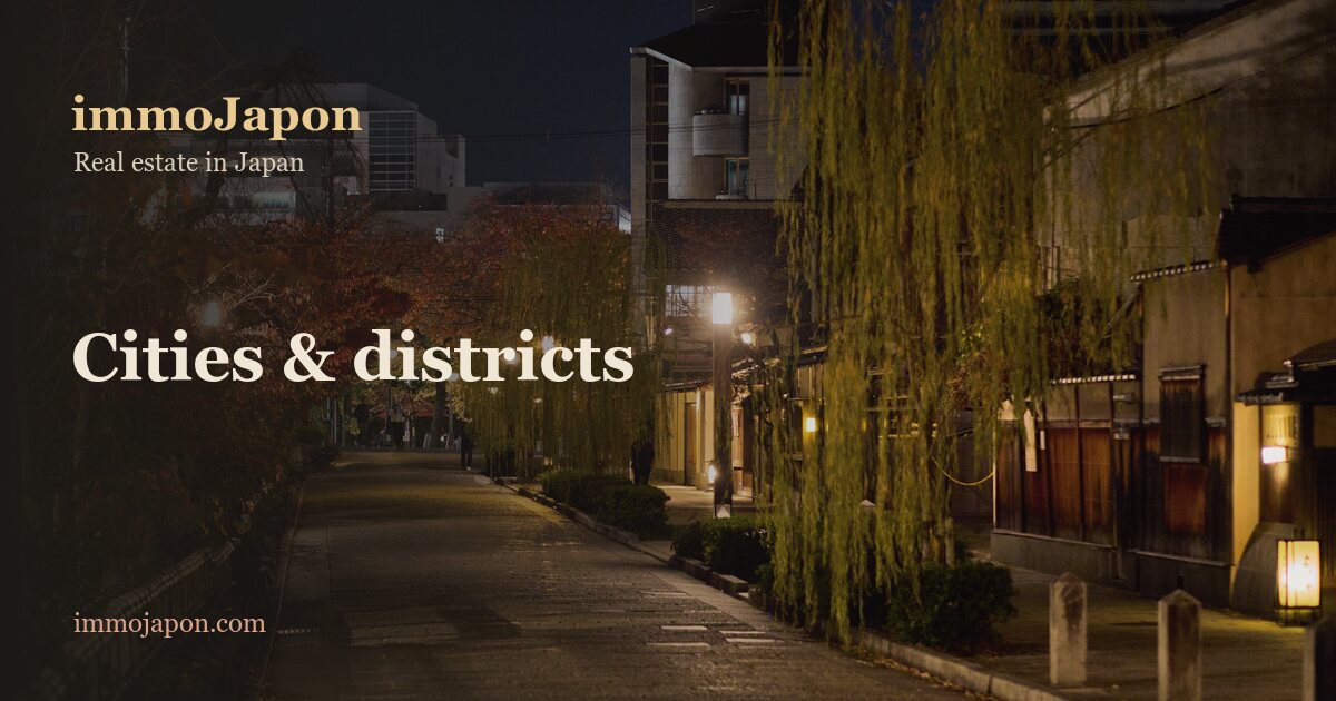 Street in the Gion district of Kyoto at night, willows and lit machiya facades