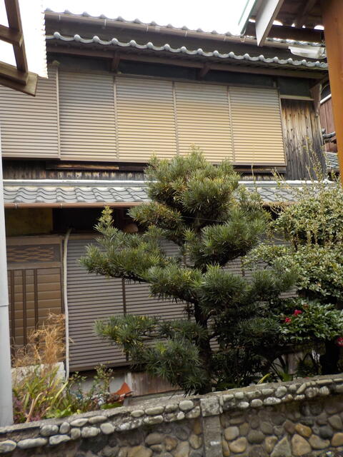 Maison — Wakayama