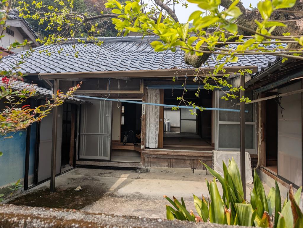 House in Kochi