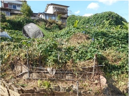 Maison à Fukuoka