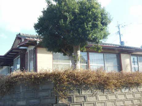Maison à Kumamoto