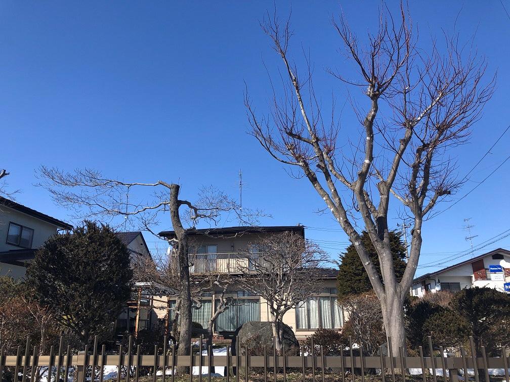 Maison à Aomori